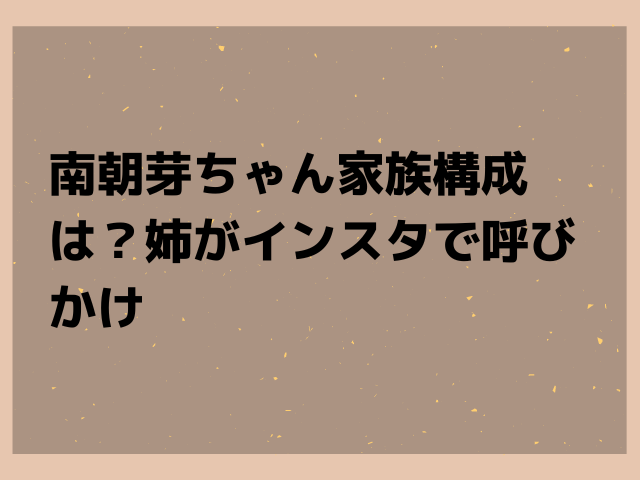 南朝芽ちゃん家族構成は 姉がインスタで呼びかけ Honoka S Blog